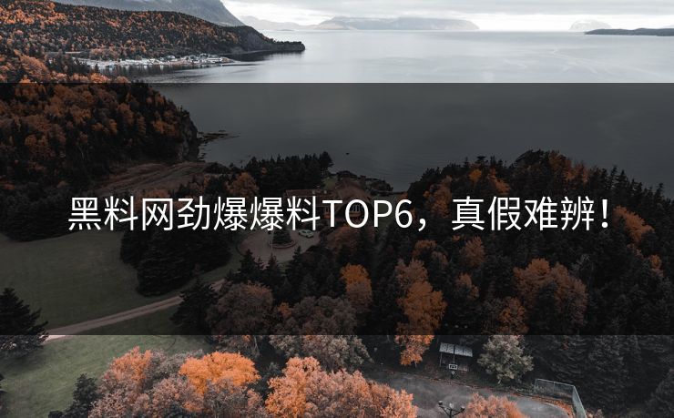 黑料网劲爆爆料TOP6，真假难辨！