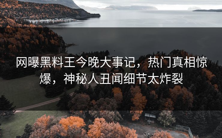 网曝黑料王今晚大事记，热门真相惊爆，神秘人丑闻细节太炸裂