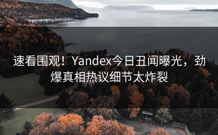 速看围观！Yandex今日丑闻曝光，劲爆真相热议细节太炸裂