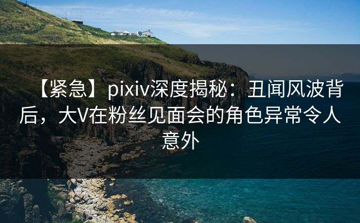 【紧急】pixiv深度揭秘：丑闻风波背后，大V在粉丝见面会的角色异常令人意外