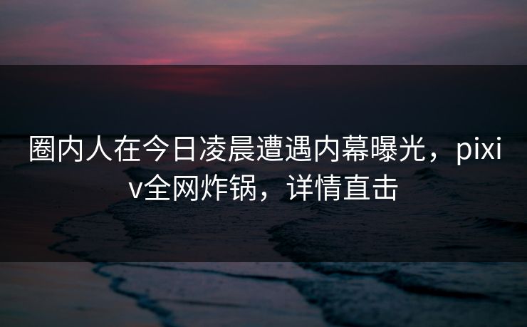 圈内人在今日凌晨遭遇内幕曝光，pixiv全网炸锅，详情直击