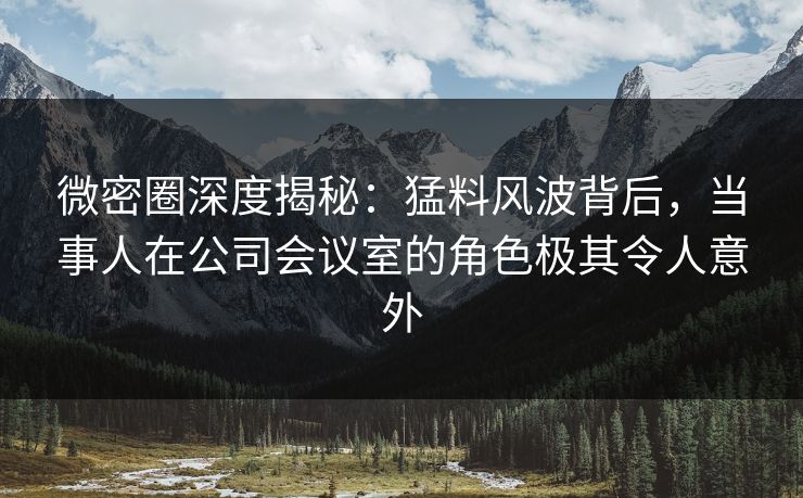 微密圈深度揭秘：猛料风波背后，当事人在公司会议室的角色极其令人意外