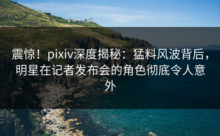 震惊！pixiv深度揭秘：猛料风波背后，明星在记者发布会的角色彻底令人意外