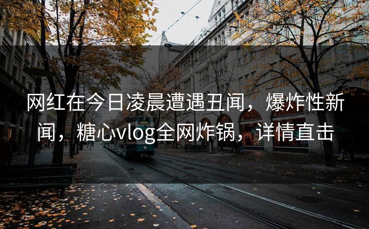 网红在今日凌晨遭遇丑闻，爆炸性新闻，糖心vlog全网炸锅，详情直击