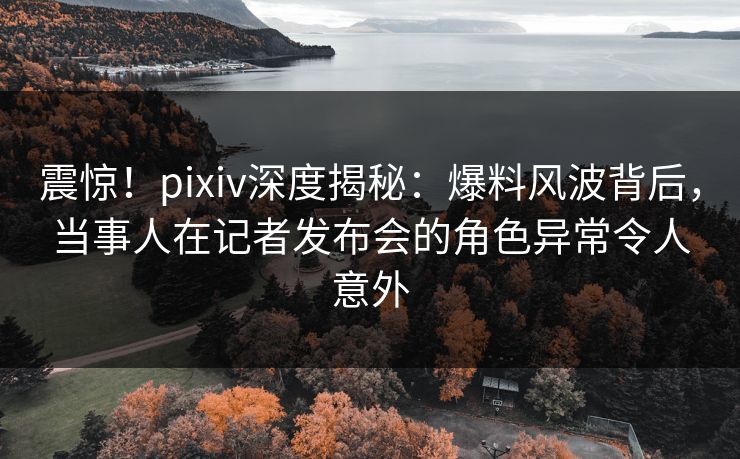 震惊！pixiv深度揭秘：爆料风波背后，当事人在记者发布会的角色异常令人意外