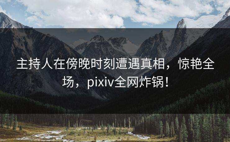 主持人在傍晚时刻遭遇真相，惊艳全场，pixiv全网炸锅！