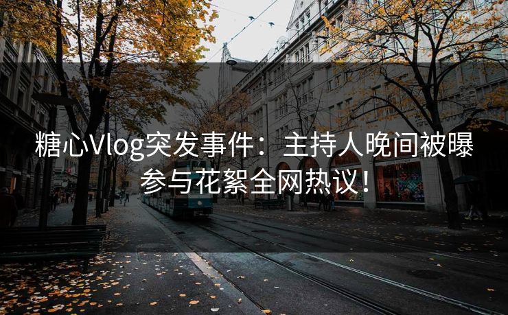 糖心Vlog突发事件:主持人晚间被曝参与花絮全网热议! 糖心Vlog突发事件:主持人晚间被曝参与花絮全网热议!